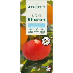 Kaki "Sharon" 1/2T Pot 15L -Promos Jardesia Magasin 952753 003