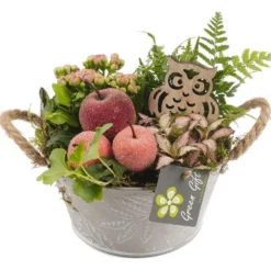 Compo Pot Zinc : 7 Plantes Vertes Et Fleuries. D18x H20cm