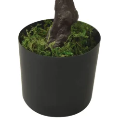 VIDAXL Bonsaï De Pin Artificiel Avec Pot 60 Cm Vert 12 VIDAXL Bonsaï De Pin Artificiel Avec Pot 60 Cm Vert -Promos Jardesia Magasin 990d820d53a86c50