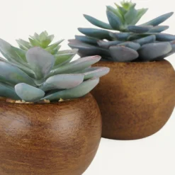 Succulente Artificielle Pot Bois 15cm Lot De 2 -Promos Jardesia Magasin b95dd14e3affb248