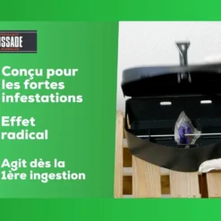 Carpt720 Lot De 4 Boîtes Raticide Canadien Pat'appât Fortes Infestatio -Promos Jardesia Magasin b9825ca4bf47ed21