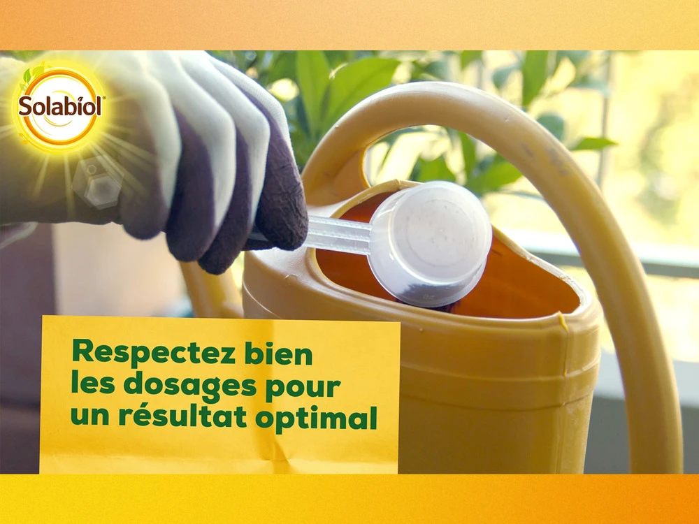 Solabiol Soseq01 | Sequestrene Antichlorose 100g | Action Longue Durée | Fabriq 5 Solabiol Soseq01 | Sequestrene Antichlorose 100g | Action Longue Durée | Fabriq – Image 5