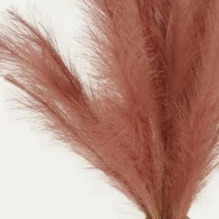 Plumeau Artificiel Terracotta 110cm Lot De 3 -Promos Jardesia Magasin c4332bdda24780af