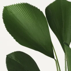 Palmier Artificiel Cuillère Licuala 110cm -Promos Jardesia Magasin cd7baedf06194b5b