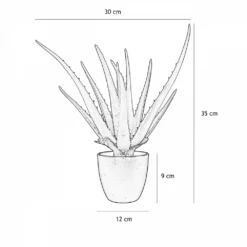 Aloe Vera Artificiel 35cm 9 Aloe Vera Artificiel 35cm -Promos Jardesia Magasin d7c9d2fb9991d2b9