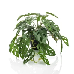 Emerald Buisson Monstera Artificiel Monkey 55 Cm En Pot