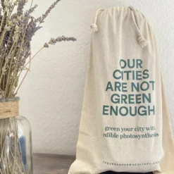 Kit Prêt à Planter - 3 Feuilles -Promos Jardesia Magasin ea572adcd263b51f