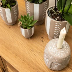 Echeveria Miranda - H13cm, ø9cm - Plante D'intérieur 8 Echeveria Miranda - H13cm, ø9cm - Plante D'intérieur -Promos Jardesia Magasin f209523da1b249a5