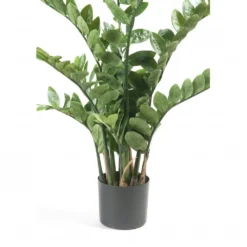 Emerald Zamioculcas Artificiel Vert 110 Cm 11.662c 6 Emerald Zamioculcas Artificiel Vert 110 Cm 11.662c -Promos Jardesia Magasin fb433d9acae0b9bb